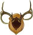 Walnut Hollow Country Deluxe Antler Display Kit, Pine