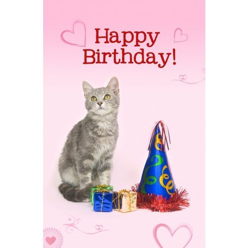“Happy Birthday” Cat Birthday happy birthday cat picture. “Happy Birthday” Cat Birthday