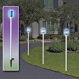 Set of 2 Solar Lighted Driveway Markers