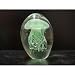 Hand Blown Glass Coral Glow in the Dark Jellyfish