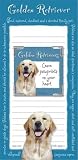 Golden Retriever Memo Pad Notebook and Magnet Picture Frame Set