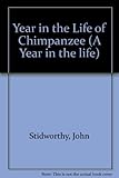Chimpanzee