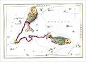 Zodiac Symbols: Pisces Art Poster Print by Sidney Hall, 10x9