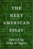 The Next American Essay