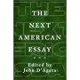 The Next American Essay