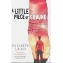A Little Piece of Ground