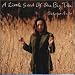 安藤さと子: A Little Seed Of One Big Tree
