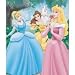 Royal Raschel Disney Princesses Walk In The Park Throw
