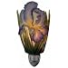 Flowers of Light Night Lights Bearded Iris Ibis and Orchid