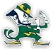 Notre Dame Fighting Irish 12 Car Magnet