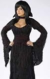 Vampire Goth Twilight Dress Adult Halloween Costume