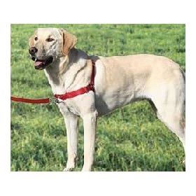 Premier - Easy Walk Harness - Medium-Large, Red Tweener