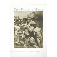 The Falling Hour (Pitt Poetry Series)