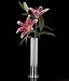 Auerhahn Tube Vase 30 cm Edelstahl/Glas Edelstahl in Geschenkverpackung
