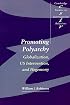 Promoting Polyarchy: Globalization, US Intervention, and Hegemony (Cambridge Studies in International Relations)