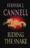 Riding the snake : a novel