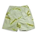 Coconut Pier - Boys Bathing Suit, Light Sage, Olive