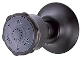 Danze D460160BS Body Jets Multifunction with Mount Body Spray, Black Satin