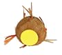 Nature's Instinct Stuffed Coconut Palm Craze for Small Animals