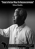Nelson Mandela (Freedom) Art Poster Print - 24x36