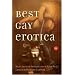 Best Gay Erotica 2004 (Best Gay Erotica Series)