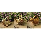 Ace Trading Brain 1 10704092 Bird Brain Animal Watering Can Assortment (Pack of 6)