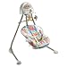 Fisher-Price Cradle-N-Swing Fun Park