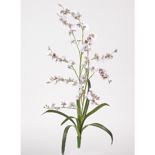Dancing Lady Silk Orchid Flower (6 Stems)