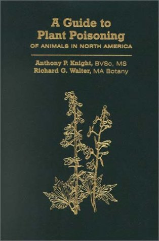 North America