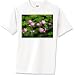 yn T-Shirt Standard Cotton Image