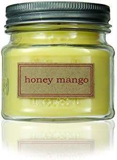 Eco Candle "CITRUS LOVER" 3 Pack of Scented Soy Candles in 8oz Recycled Glass Mason Jars - Includes 3 Candles, one of each; Honey Mango, Vanilla Grapefruit, & Citrus Squeeze. 100% USA Made!