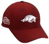 Arkansas Razorbacks Adult Adjustable Hat