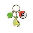 Pokemon Diamond and Pearl mini Turtwig figure Keychian with name tag and Leaf emblem (Japanese Imported)
