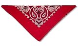 Bandanna Red