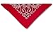 Sporting Goods : Bandanna Red