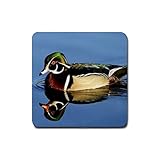 Duck Rubber Square Coaster (4 pack)
