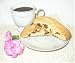 Gourmet Food : 8 pieces White Chocolate frosted COCONUT CHOCOLATE CHUNK Biscotti