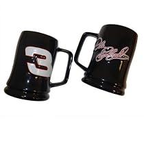 Nascar Fire Glazed Stein - #3 Dale Sr