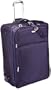Ricardo Beverly Hills  Big Sur 29-Inch Expandable Pullman,Purple Plumaria,29-inch