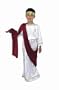 Child Greek or Roman Costume Works for Toga and Caesar Costume Mark Anthony Costume too!