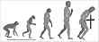 Evolution Devolving into Christianity. -Bumper Sticker