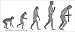 Evolution Devolving into Christianity. -Magnetic Bumper Sticker