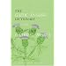 Study the Celtic Languages
