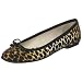 D&G Dolce & Gabbana Women's DS3179 E4547 Flat