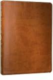 ESV Large Print Bible (TruTone, Brown) image