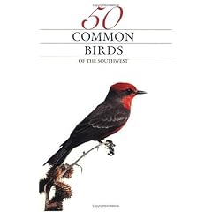50 Common Birds of the Southwest