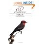 50 Common Birds of the Southwest