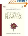 RHS Encyclopedia of Plants & Flowers