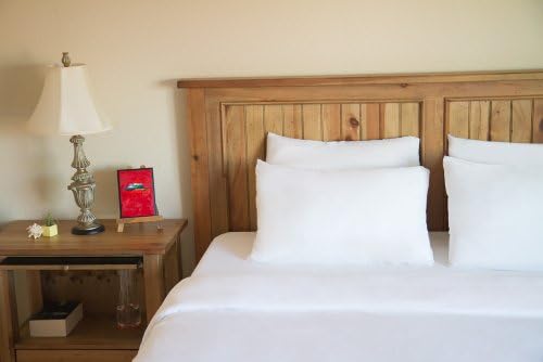 Duvet Cover 100% Viscose From Bamboo (Twin, White)