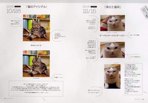 Cover image : アメショっす！マニア